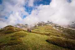 Šar planina (Vrtop 2555mnv, Šileđe 2473 mnv, Bezimeni vrh 2122 mnv)